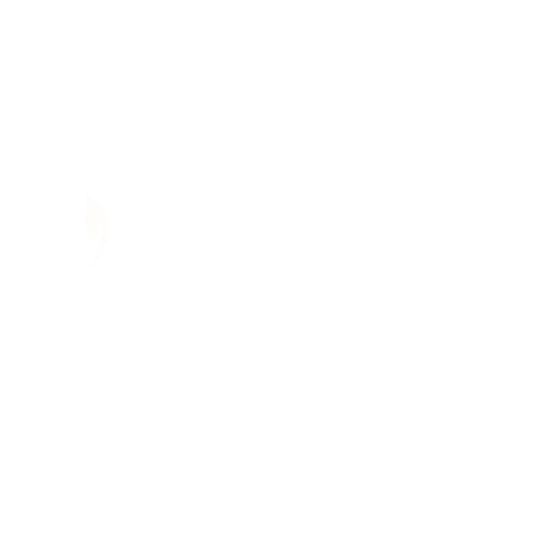 Nabin Entrepreneurship Foundation